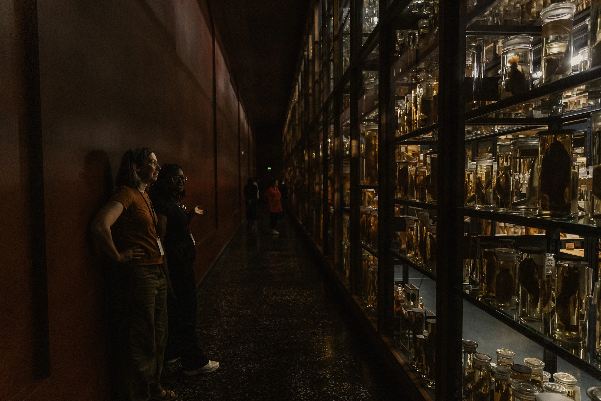 people looking at Wet Collection in MfN