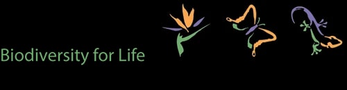 Kirstenbosch Botanical Gardens